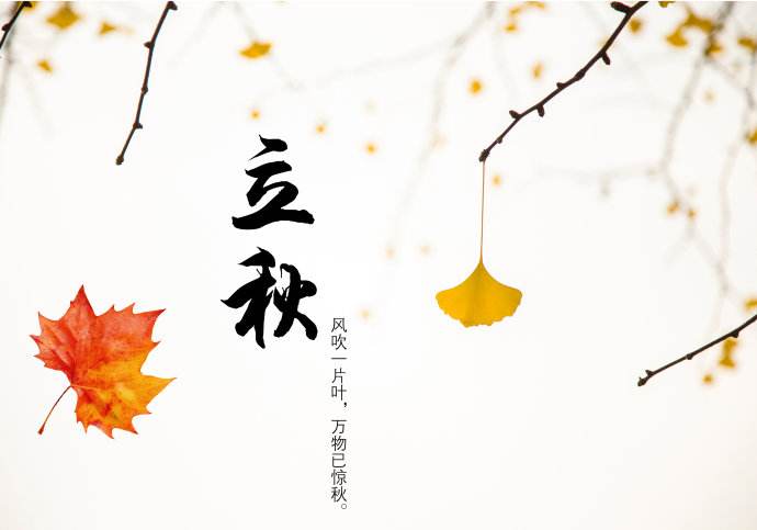 今日立秋，青島瑞普特分享立秋小知識