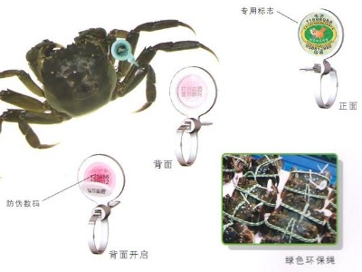 陽(yáng)澄湖蟹扣