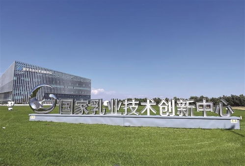 呼和浩特科創(chuàng)載體多點(diǎn)開(kāi)花，技術(shù)開(kāi)發(fā)賦能產(chǎn)業(yè)高質(zhì)量發(fā)展